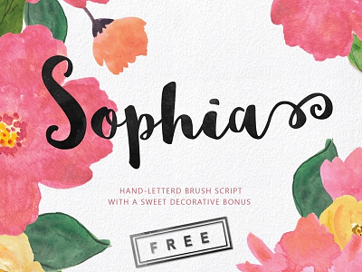 Sophia Free Font! brush brush font font free freebie hand drawn hand lettered handmade painted script sweet watercolor