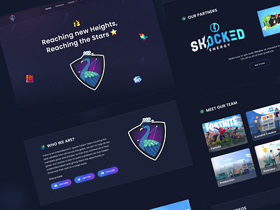 Gaming organization Landing Page UI UX Design