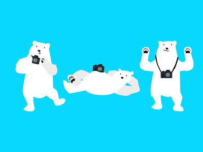 Bears cold ice photo photo shoot vector