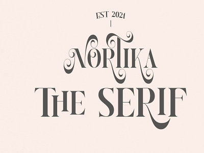 Nortika Serif Font branding design font graphic design illustration letter logo motion graphics serif font typeface ui ux vector