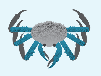Crab crab infographics ocean sealife