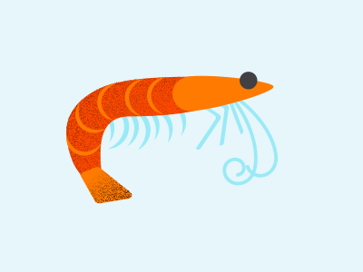 Shrimp infographics ocean sealife shrimp