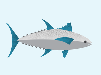 Bluefin Tuna bluefintuna infographics ocean sealife