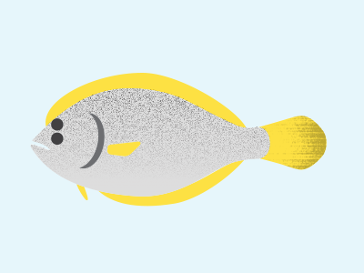 Flounder