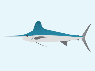 Swordfish infographics ocean sealife swordfish