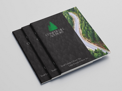 Conifer Hill Advisors Brochure branding design graphic design layout typography