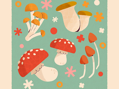 Mushroom by Robin Sheldon on Dribbble