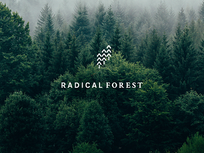 Radical Forest