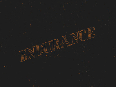 Endurance endurance hand lettering letter navy orange texture