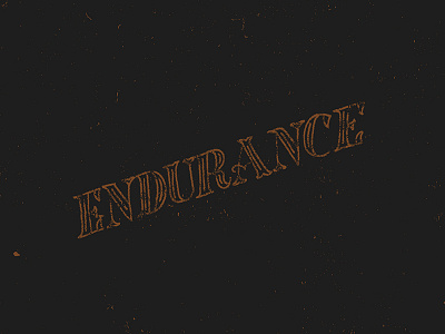 Endurance endurance hand lettering letter navy orange texture