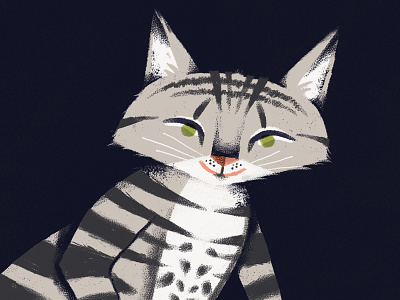Boomer animal cat cute illustration kitty texture