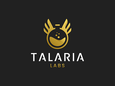 Talaria Labs design gold gradient lab laboratory labs luxurious luxury modern simple talaria wings wingsart