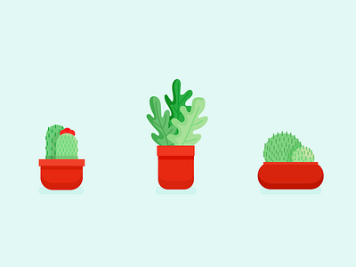 cactus color icons cactus flower icons illustration nature plans vector