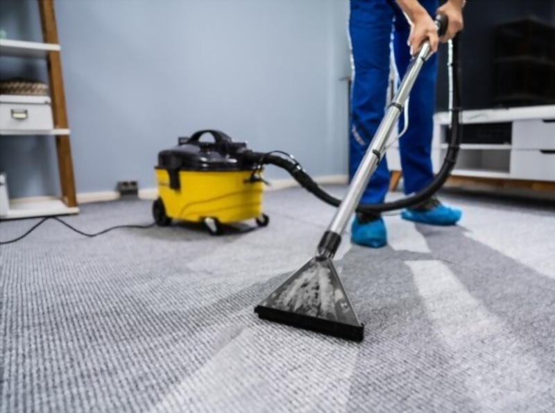 Best Carpet cleaning Service by Sandip on Dribbble