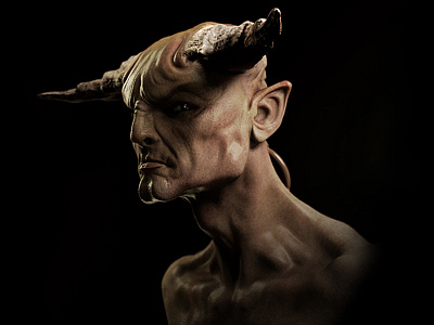 Faun 800x600