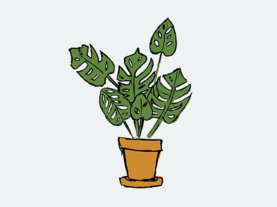 monstera clay green hipster illustration ink mark monstera plant pot vector