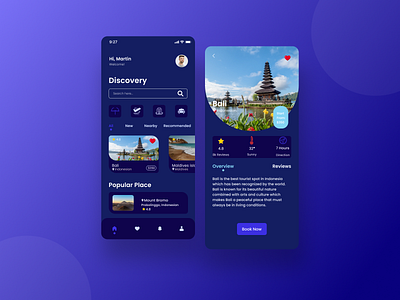 Travel Mobile App animation app branding design graphic design icon illustration logo motion graphics travel app travel ui typography ui ux vector