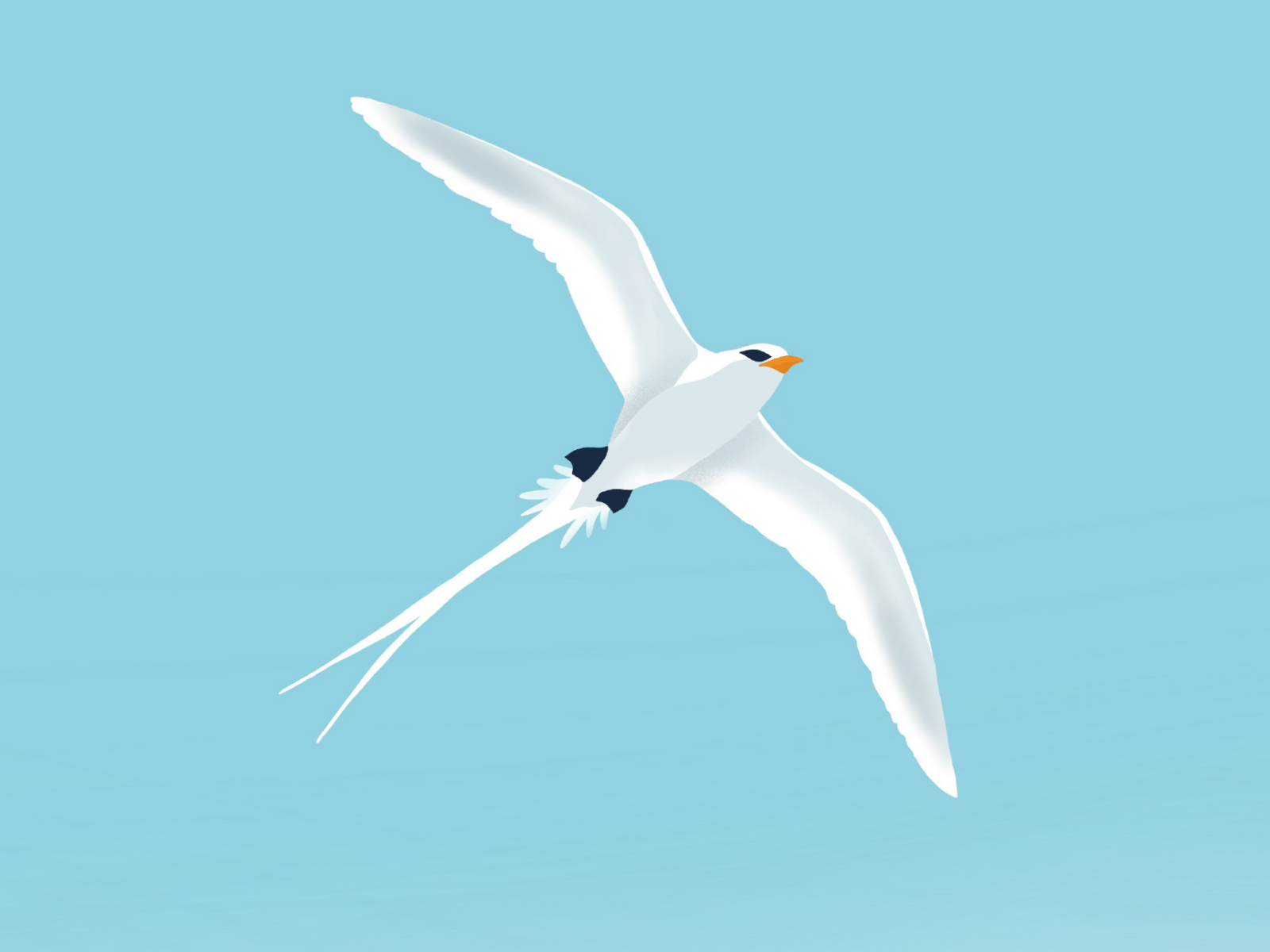 Bleus sont les étés by Aube Studio on Dribbble