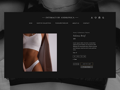 Lingerie e-commerce store - Product page