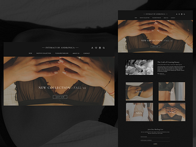 Lingerie e-commerce store - Homepage branding design graphic design logo ui ux