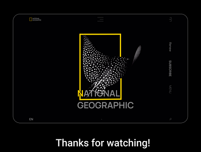 Promo page National Geographic animation design motion graphics ui ux