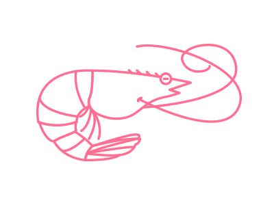 Shrimp