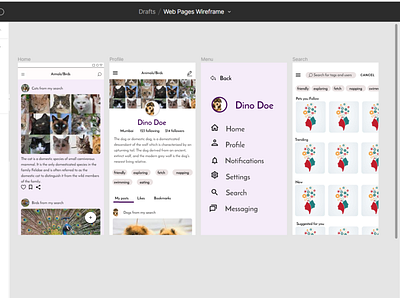 App UI for Animals/Birds lover app design layouts prototyping ui ux
