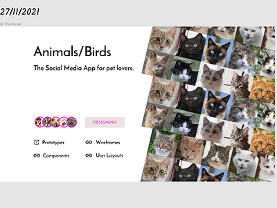 Thumbnail for Animals/Birds app app design layouts prototyping thumbnail ui ux