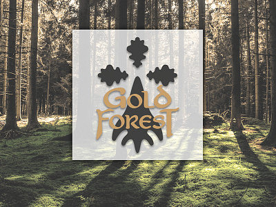 Gold Forest artistic direction bretagne brocéliande forest identity logo travel traveling