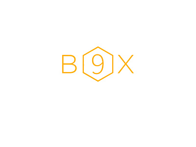 Box 9 Logo 9 box creative icon logo