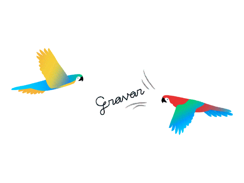 Gravar_anime_1 gif animation illustration parrot