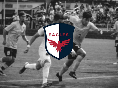 Eagles logo branding dailylogochallenge design dlc graphic design illustration logo