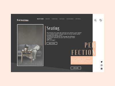 Website Design Concept - Selector. architecture branding concept design furniture inspiration new screen ui uidesign ux uxdesign web webdesign website