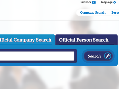 Company/Person Search Box big button nav search