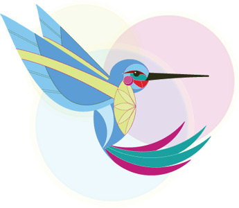 Hum bird hummingbird illustration fly