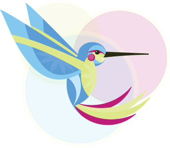 Hum2 bird fly hummingbird illustration