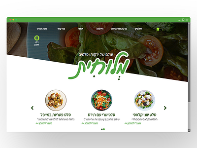 Homepage design - Salad recipes website