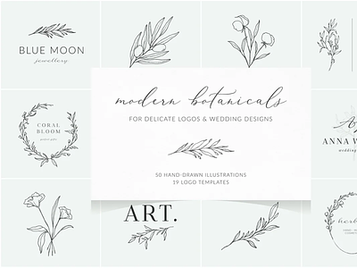 Botanical logos & illustrations badge botanical display female logo feminine logo hand drawn illustrations logo logo design logo template minimalist logo serif