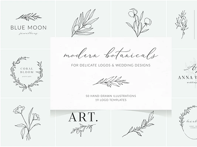 Botanical logos & illustrations