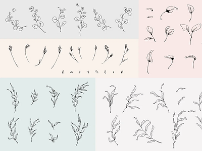 Floral Illustration & Logo Packs