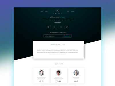 Ico Ui Ux landing page by Marius Calude on Dribbble