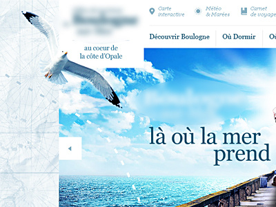 Tourism website blue seagull sky