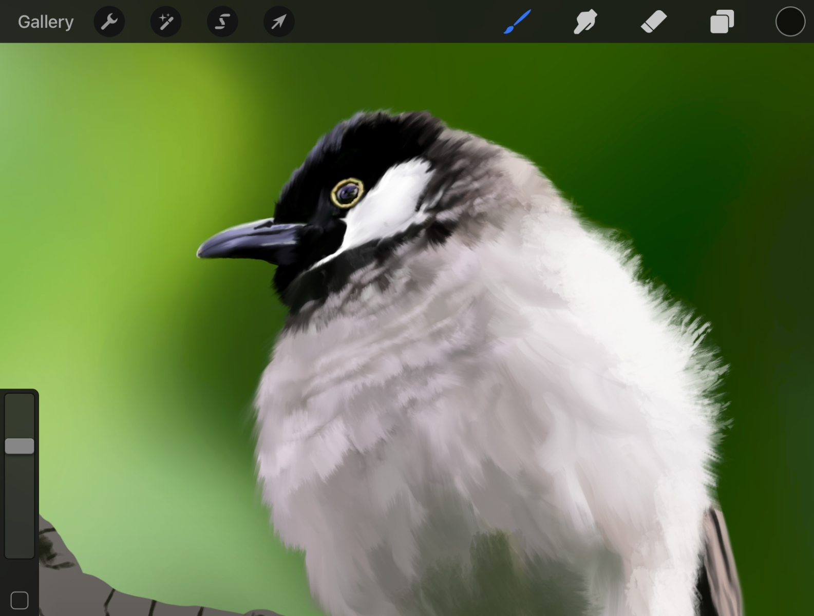 Digital Painting Of A Bird By Bijo On Dribbble   3d08c893 26fb 49ac 9272 6905914acbfe 