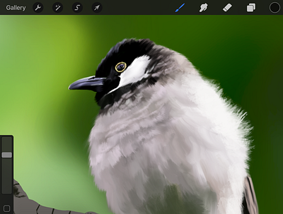 Digital Painting of A Bird animal illustration character illustration illustrator painting