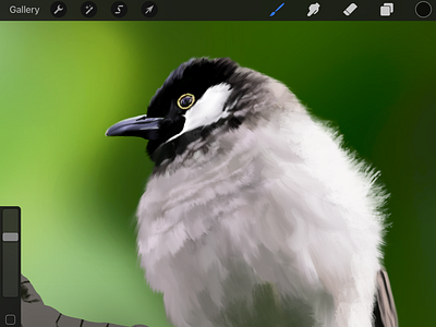 Digital Painting of A Bird