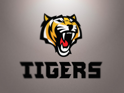 Krakow Tigers american football logo nfl orange roar sport tiger tigers