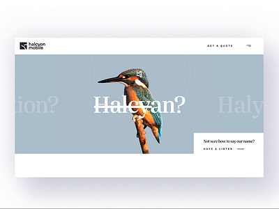 Halcyon Mobile Website - About about animation birds branding clean company design gif grey minimal modern ui ux webdesign website white