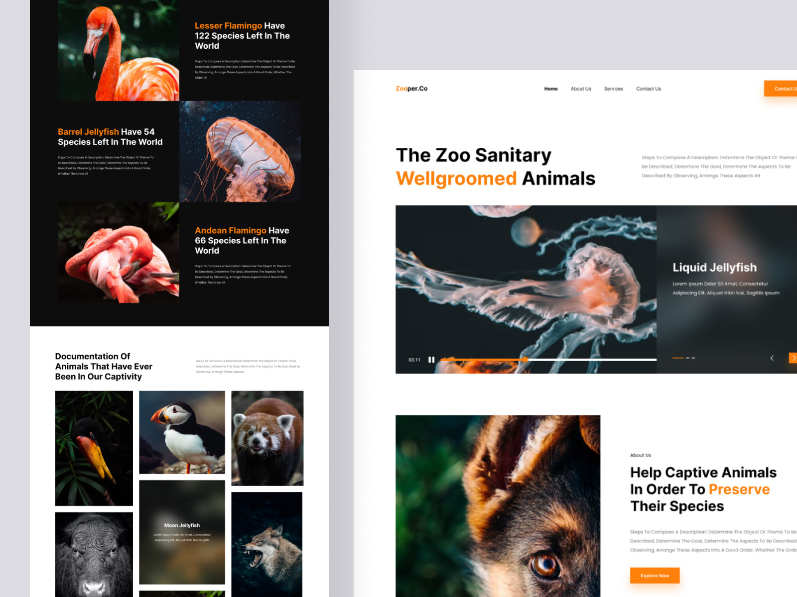 The Next Zoo - Web Design by Fitra Purwaka for Syabany Labs on Dribbble