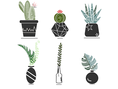 Сactus 1 2d cactus design geometry graphic design green illustration vector