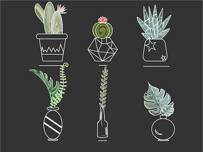 Сactus 2 2d black cactus design graphic design green illustration vector